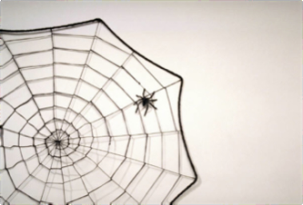 SEO spider on web image
